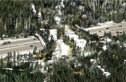 New Wildlife Crossing Structures