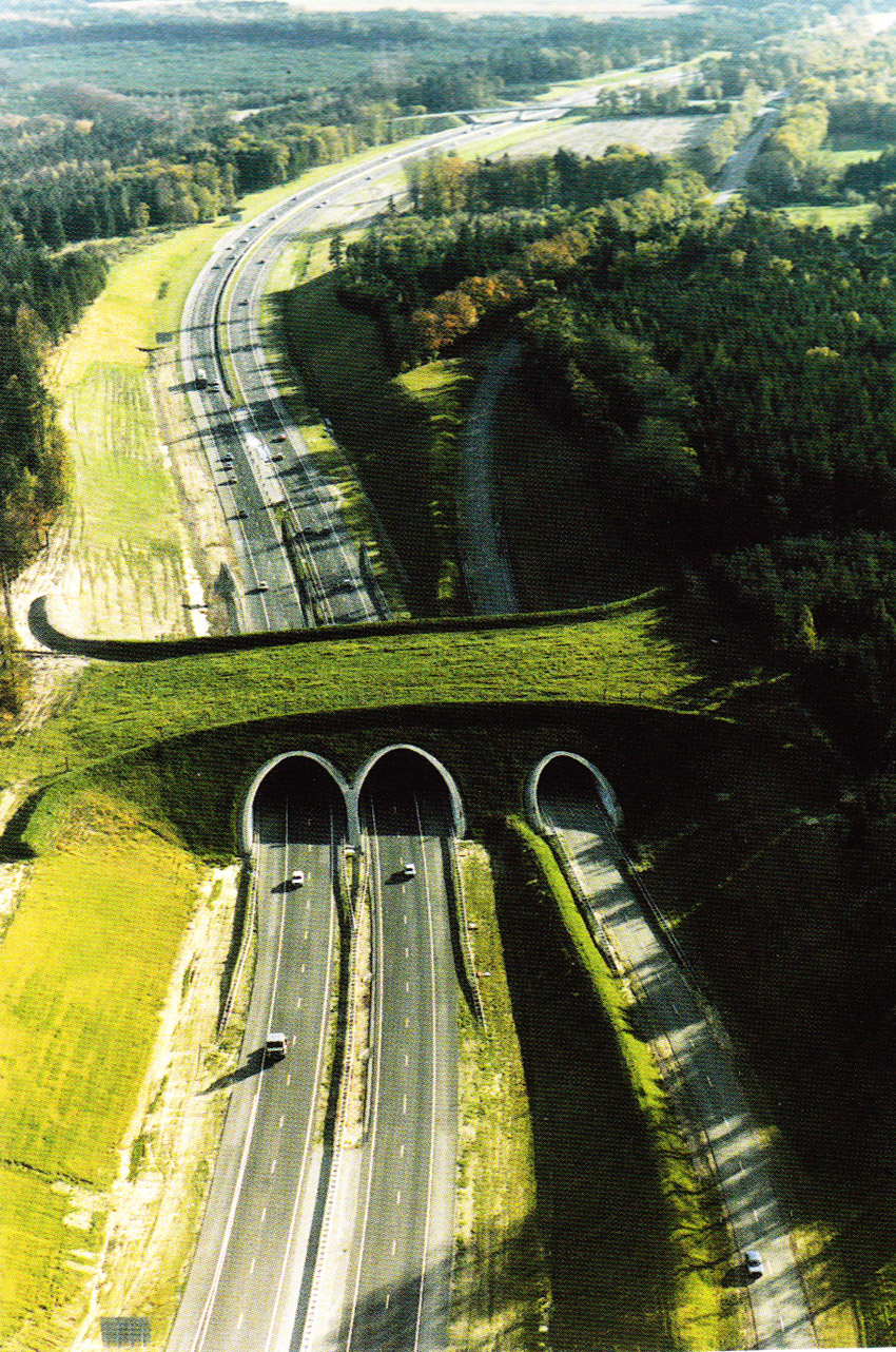 ... Wildlife Crossing Structures | ARC Solutions - Animal Road Crossings
