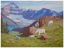 Finalist Models from the ARC Competition featured at “Yellowstone to Yukon: The Journey of Wildlife and Art”
