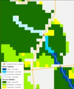 Roads & Wildlife: Creating Critical Linkages in Massachusetts (Part 2)
