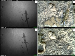 Using Cameras To Monitor Tunnel Use By Long-Toed Salamanders (Ambystoma Macrodactylum): An Informative, Cost-Efficient Technique
