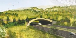 ‘Wildways for Wildlife’ in Vail: Vail Symposium panel discussion on Thursday focuses on making I-70 safer for animals and humans alike