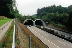 Unusual Bridges For Animals – Wildlife Overpasses