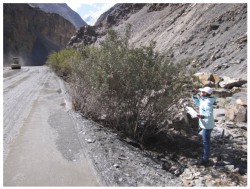 Wildlife Protection Along the Karakorum Highway in Khunjerab National Park