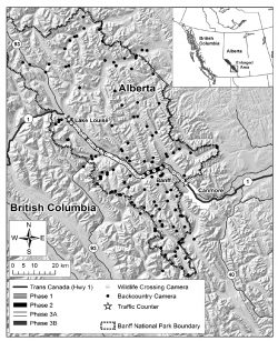 Anthropogenic Effects on Activity Patterns of Wildlife at Crossing Structures