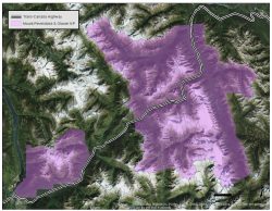Mitigating multi-species mortality and fragmentation on the Trans-Canada Highway, Mount Revelstoke and Glacier National Parks, British Columbia