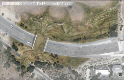 Wildlife Crossing at Liberty Canyon: New Look at Progress on California Landmark Wildlife Crossing Design