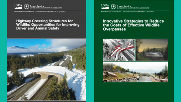 United States Forest Service Reports Outline Benefits of Wildlife Crossings  and Offer Guidance on Effective Design, Wildlife Crossing Structures