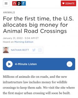 For the first time, the U.S. allocates big money for Animal Road Crossings