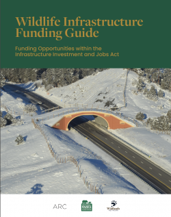 Wildlife Infrastructure Funding Guide